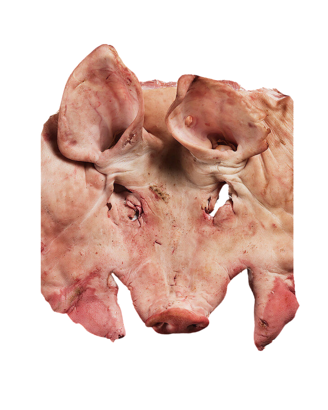 Pig Face W/O Meat (猪脸)