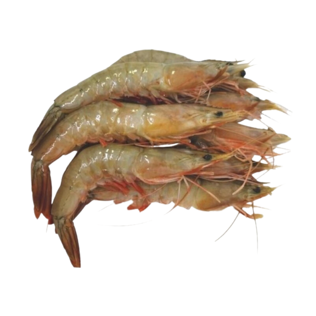 Red Leg Prawns (Per KG)