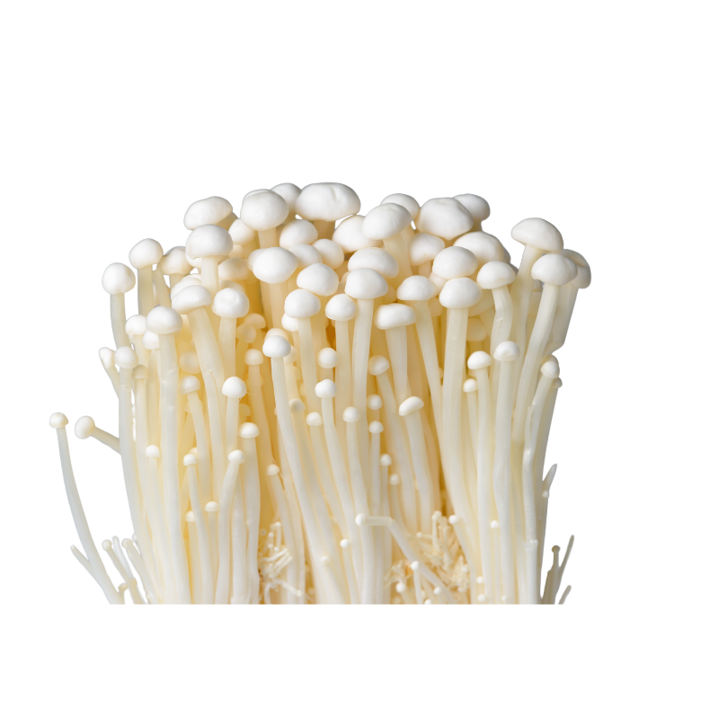 Enoki Mushroom 金针菇 (Per Pack)