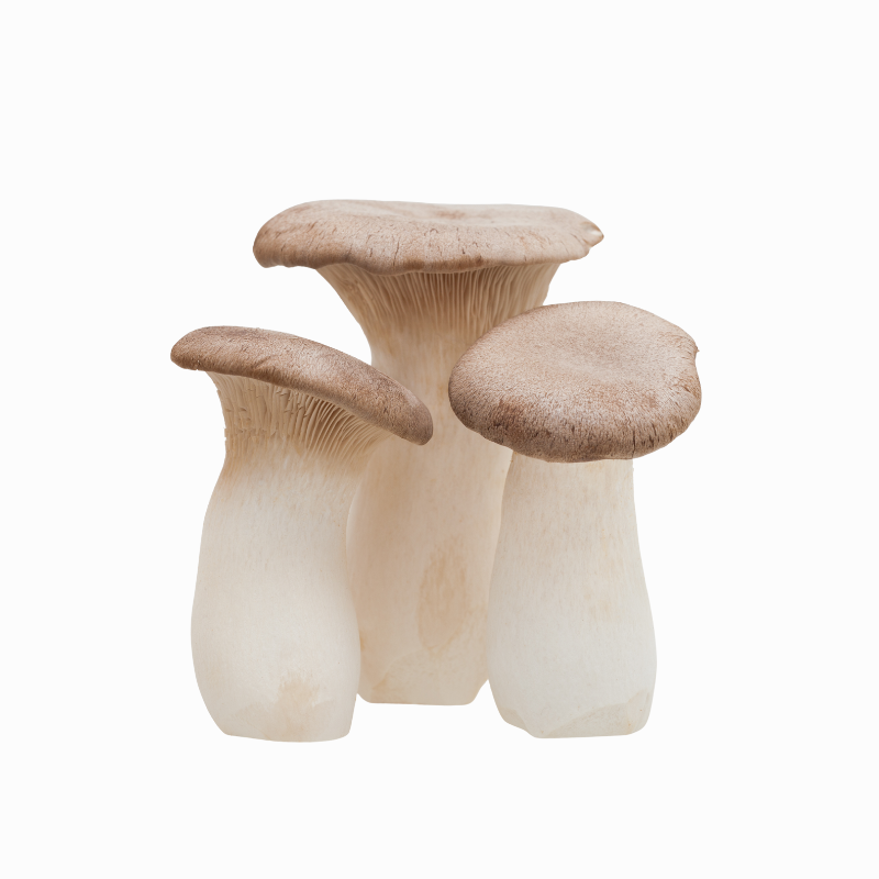Oyster Mushroom 杏鲍菇 (+/- 200g)