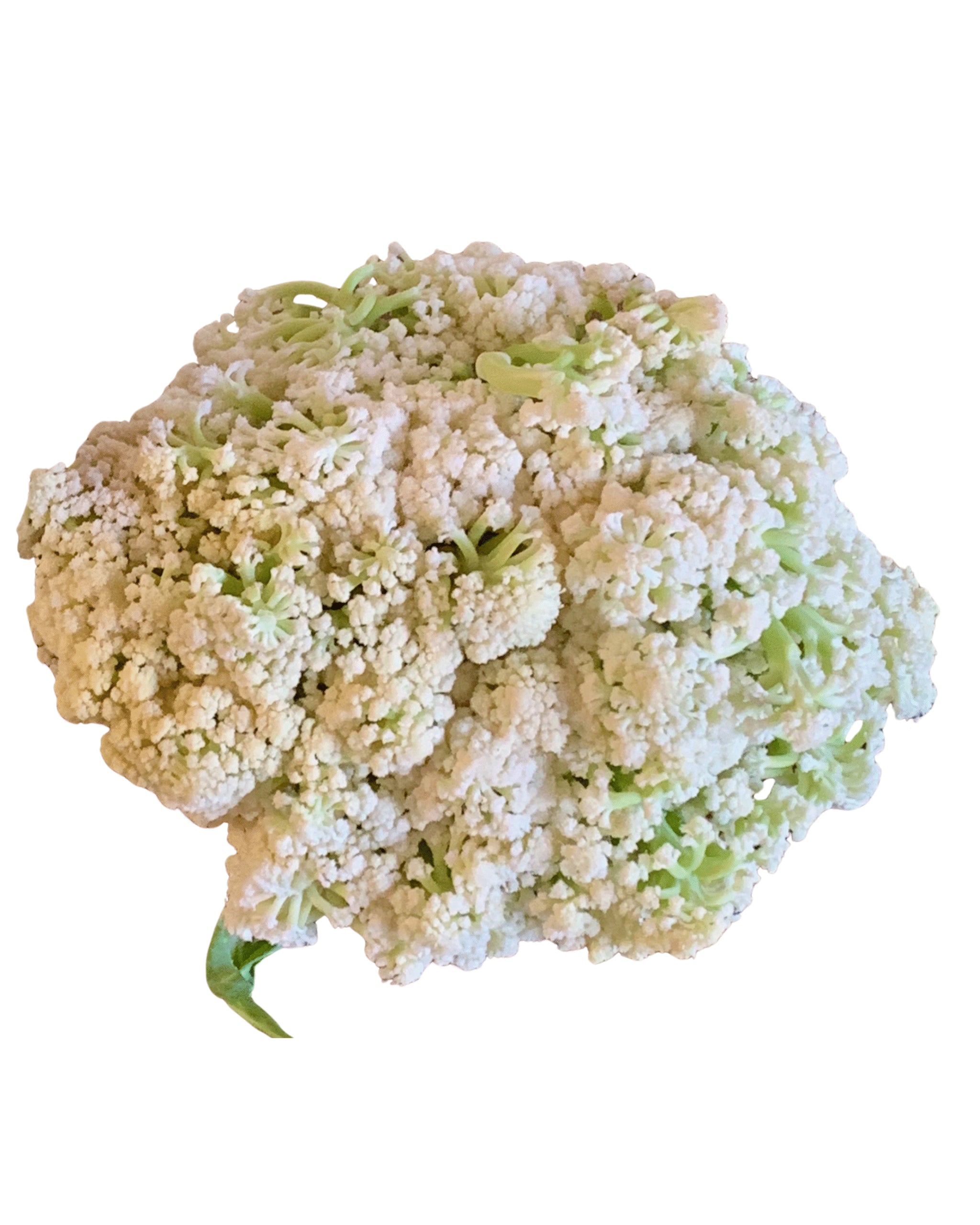 Taiwan Cauliflower 台湾菜花 (+/- 300g)