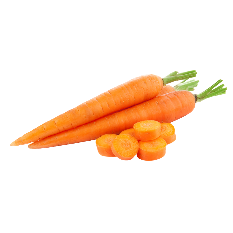 Aus Carrot (红萝卜)